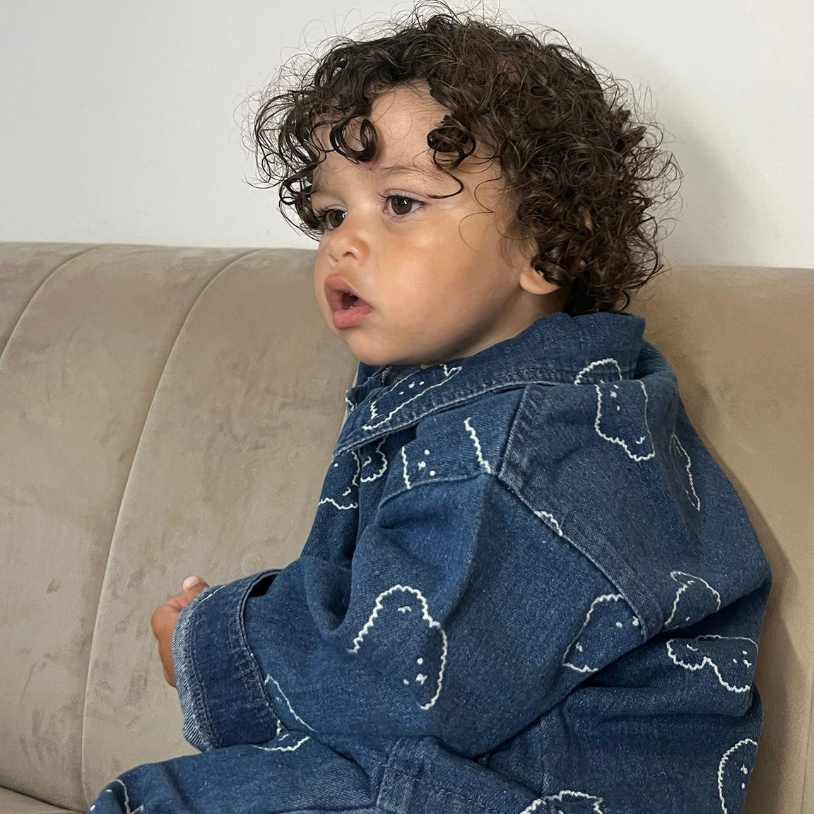 Teddy Denim Jacket