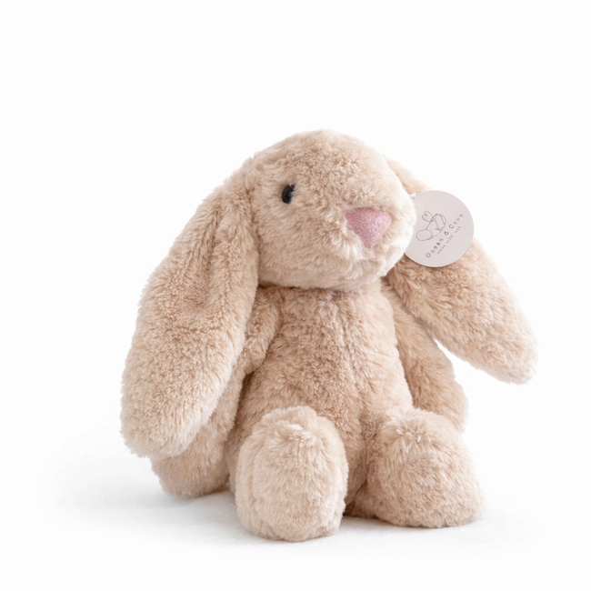 Baby Bunny Soft Toy
