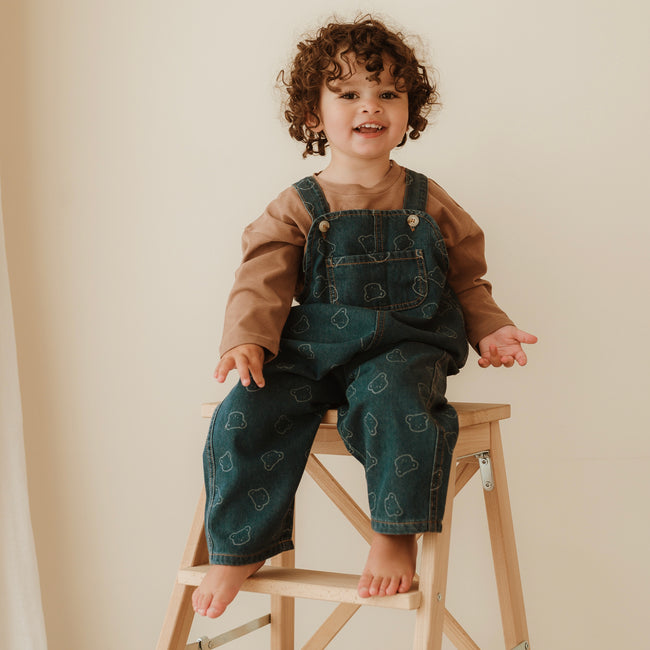 Teddy Dungarees