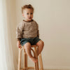 Brown Mini Stripe Sweatshirt