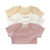 Organic Cotton Ribbed Short Sleeve Bodysuits (3 pack)