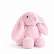 Baby Bunny Soft Toy
