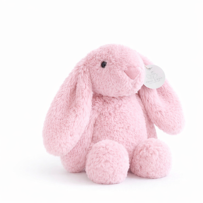 Baby Bunny Soft Toy