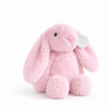 Baby Bunny Soft Toy