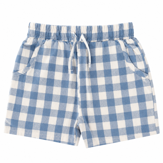 Sample Sale - Blue Gingham Shorts (2-3 years)